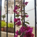 Casa Palacio Munoz Chaves 公寓