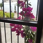 Casa Palacio Munoz Chaves 公寓 *