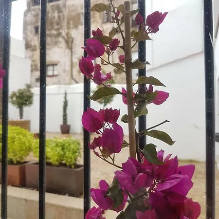 Casa Palacio Munoz Chaves Apartment