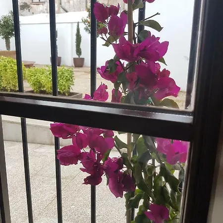 Casa Palacio Munoz Chaves Апартаменты *