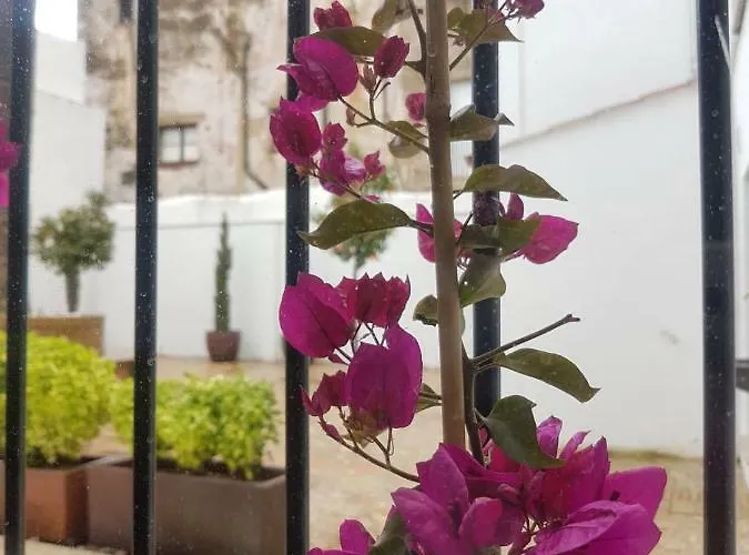 Casa Palacio Munoz Chaves Appartamento