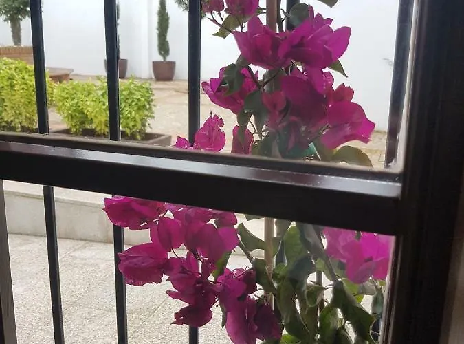 Casa Palacio Munoz Chaves Appartamento *